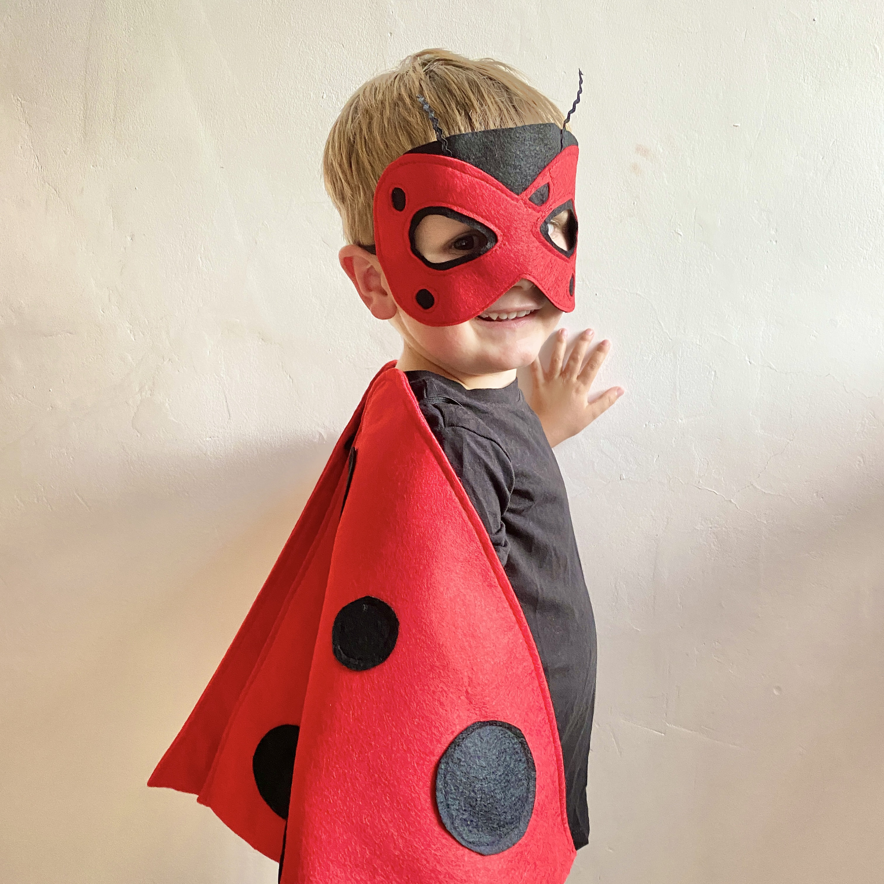 Adult Ladybug Costume, Kids Ladybug Wings, World Book Day Ladybird Costume, Available on Sizes Child-Adult S-XL