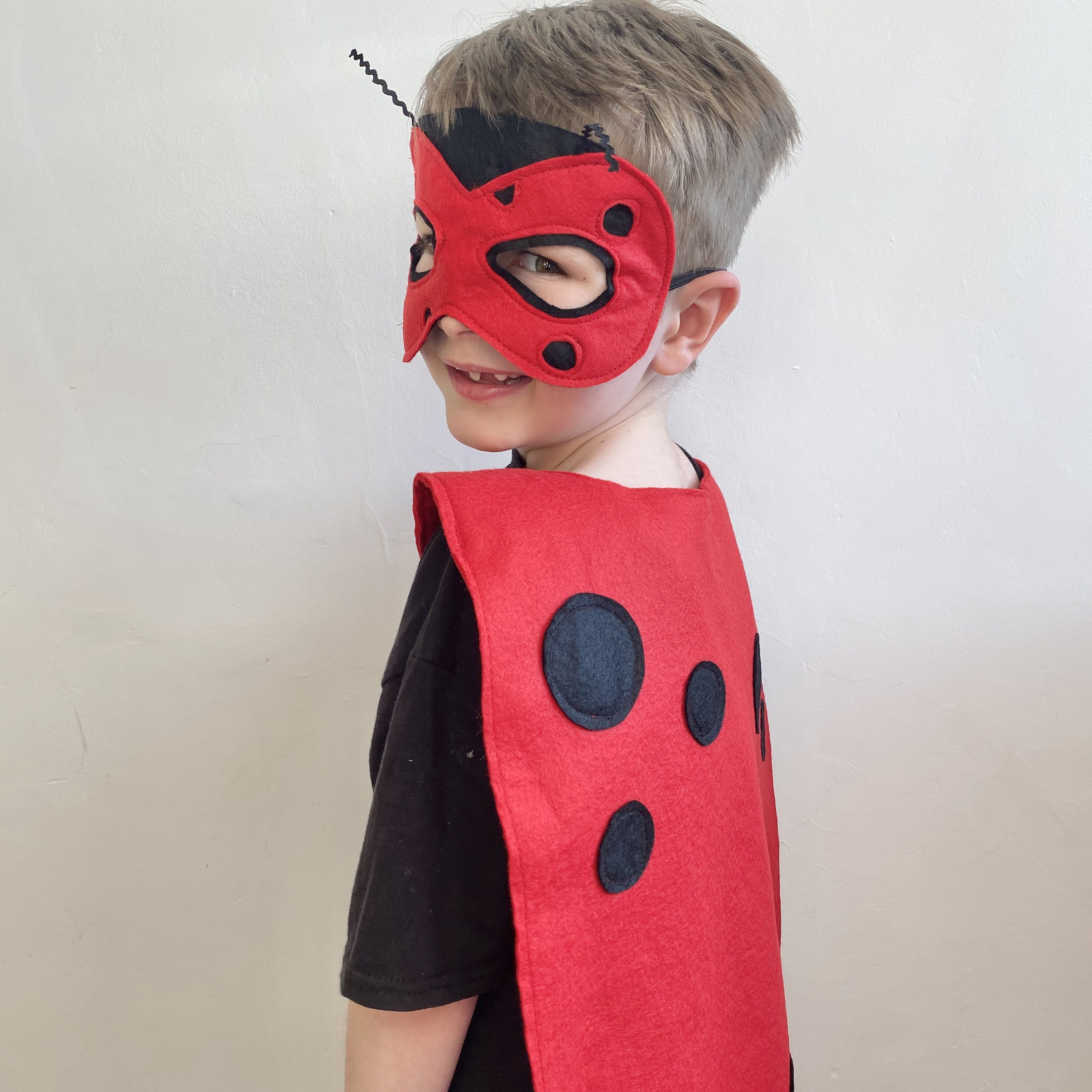 Adult Lovely Ladybug Costume