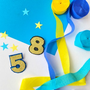 Number Shaped Badge, Glitter Number Pin, Number Birthday Pin, Any Age Custom Badge, Kids Birthday Badge, Custom Number Pin. ANY COLOUR/AGE
