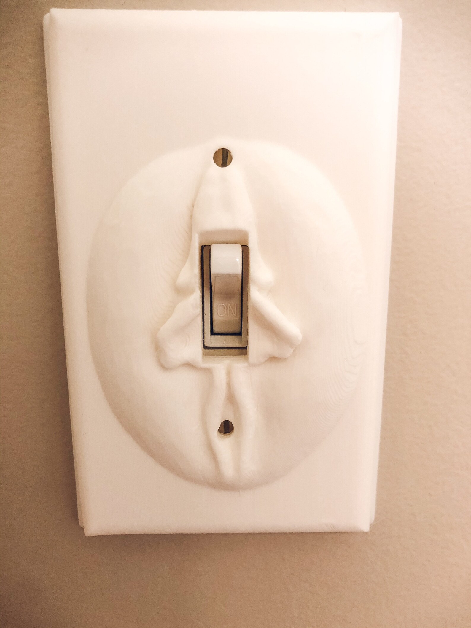 Vagina Light Switch/Light Switch/Switch Plate/Adult Light Etsy