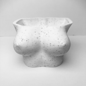 Boob Planter/Titty Planter