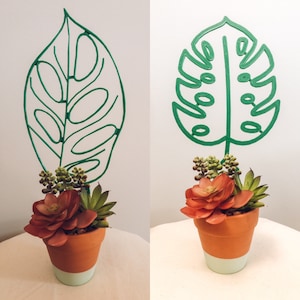 Monstera Trellis/Monstera Climber/Plant Trellis/Plant Climber/Monstera/Abasonii Monstera/Narrow Form Monstera/ Plant Support/Plants/Planters