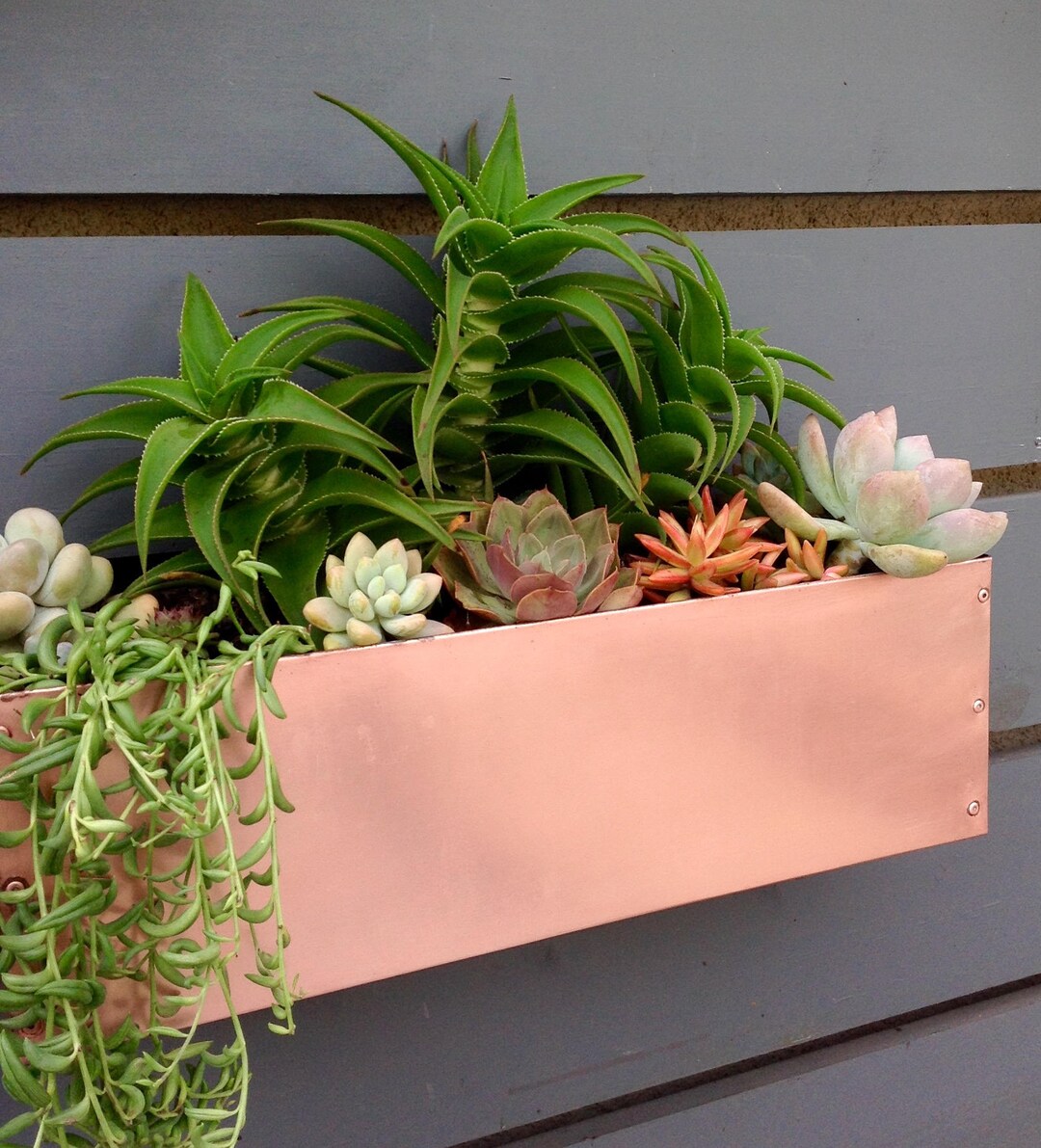 Copper Hanging Planter Box/ Horizontal Fence Planter/ Succulent Wall