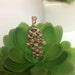 see more listings in the Pendant section