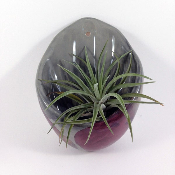 ceramic wallplanter in grey and transparent black, planter with an abstract decals decor