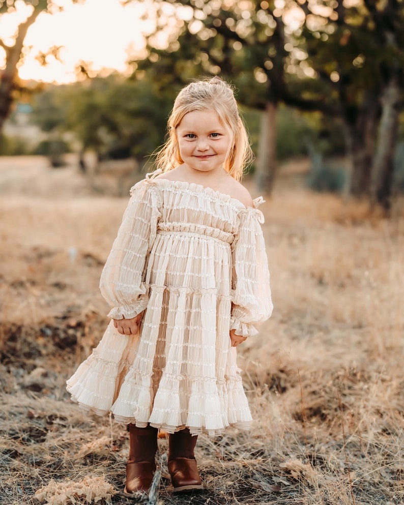 Chiffon First Communion Dress, Junior Bridesmaid Dress, Flower Girl Dress, Lace Girl Dress, Baby Girl Dress for Family Photoshoot Lily image 1