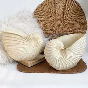 Könnte beinhalten: Zwei cremefarbene, nautilusförmige dekorative Vasen. Die Vasen haben ein Spiraldesign und stehen auf einer braunen Oberfläche. Ein weißer Kunstfell-Überwurf und ein gewebter runder Platzdeckchen befinden sich im Hintergrund.