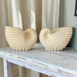May include: Two cream-colored ceramic planters shaped like nautilus shells. Each planter features a spiraling, ribbed exterior texture with a smooth, open top. The objects are positioned side-by-side, showcasing their curved, shell-like form.