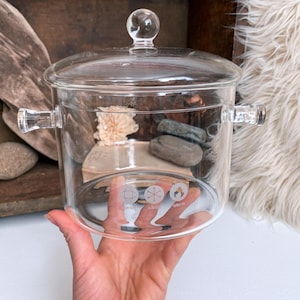 Puede incluir: Una olla de cocina de vidrio transparente con tapa y dos asas laterales. La olla tiene forma redonda y está diseñada para su uso en la estufa. La tapa tiene un pequeño pomo redondo. La olla está sostenida por una mano.