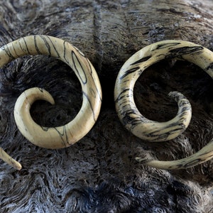 2G Earrings Carved Wood Spiral Body Jewelry 5mm Gauge Plug