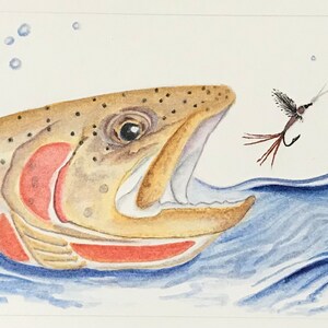 May include: A watercolour painting of a trout leaping from the water with its mouth open, trying to catch a fly. The water is depicted in shades of blue, and the trout is a golden brown colour with red markings.