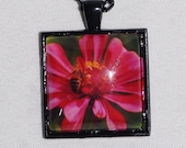 Pink Flower Nature Photo Black Pendant Necklace