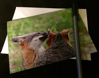 Island Fox Nature Photograph Blank Greetings Card
