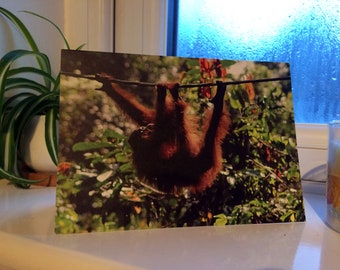 Orangutan Swinging through the Trees Wildlife Photograph Blank Greetings Card