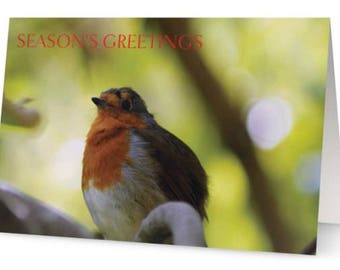 Robin Season's Greetings Card