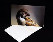 Sparrow Wildlife Photograph Blank Greetings Card