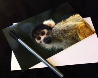 Squirrel Monkey Wildlife Photograph Blank Greetings Card