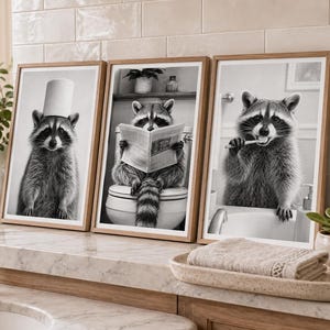 May include: Three framed black and white raccoon prints. One raccoon wears a toilet paper hat, another reads a newspaper on a toilet, and the third brushes its teeth. The prints are displayed on a marble countertop.