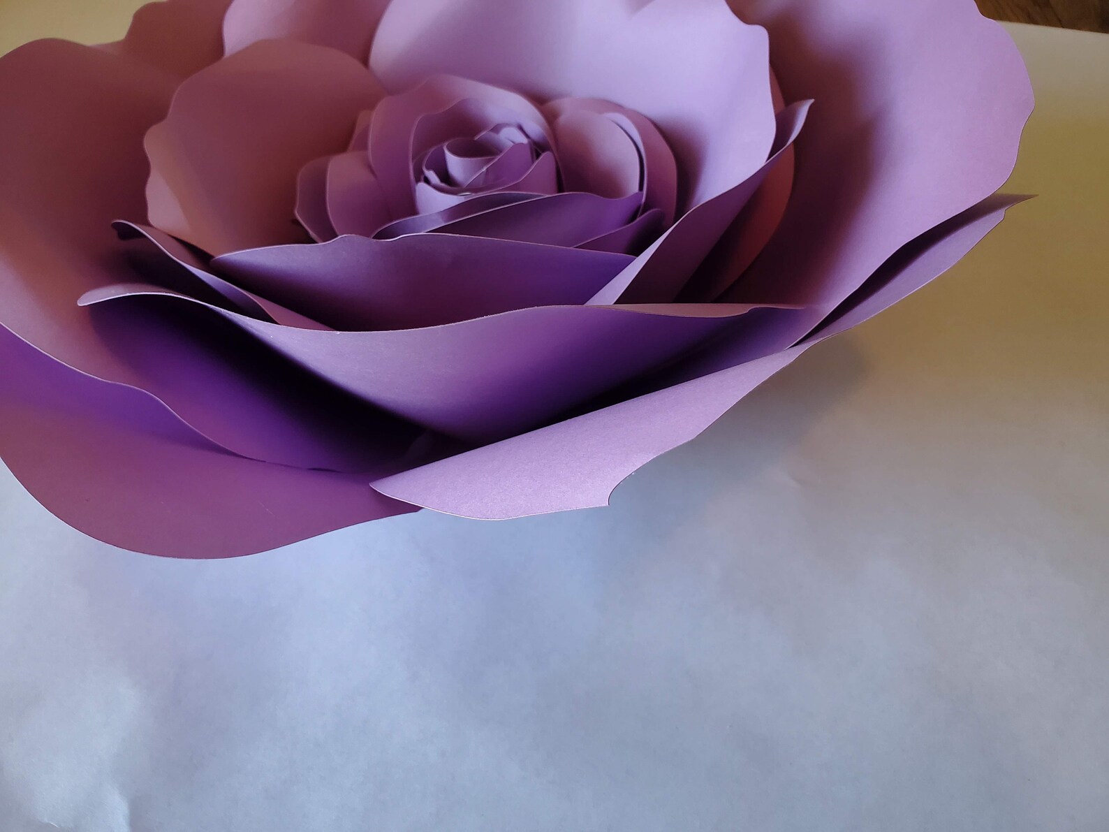 Large Paper Rose, Giant Paper Wall Flowers, Paper Flower Wall