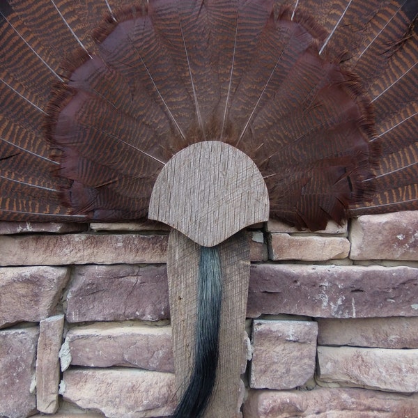 Turkey Fan Mount Etsy