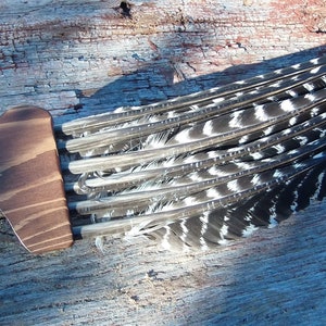 Turkey fly down wing turkey call