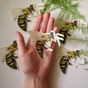 Bee Stickers, Laptop Sticker, Paper Sticker, Die Cut Stickers, Honeybee Sticker, Handmade Stickers, Original Bee Stickers, Beekeepers Gift