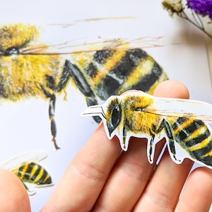 Laptop Bee Sticker, Vinyl Sticker, Die Cut Honeybee Stickers, Vinyl Laptop Sticker, Spring Stickers,Gardener Gift, Beekeeper Gift,Small gift