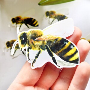 Die Cut Vinyl Bee Sticker, Save The Bees Sticker, Vinyl Laptop Sticker, Original Art Sticker, Beekeeper Gift, Gift for her, Honeybee art