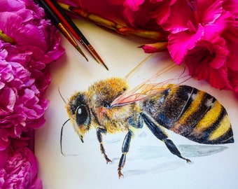 8x10'' Honungsbitryck, Akvarell honungsbitryck, Biodlarepresent, Apis Mellifera-konst, Konsttryck