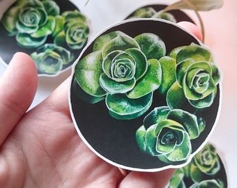 Waterproof Vinyl Laptop Stickers, Green Echeveria Succulent, Die Cut Stickers, Waterproof Stickers, Small gift, Gift for her, Plantlady gift
