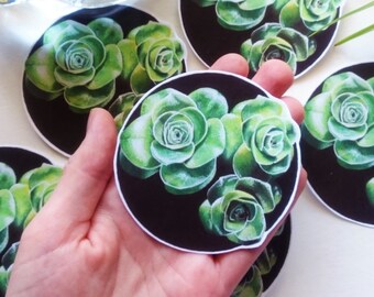 Succulent Stickers, Paper Stickers, Laptop Stickers, Die Cut Stickers, Laptop Sticker, Original Art Stickers, Succulents, Succulent, Palnts