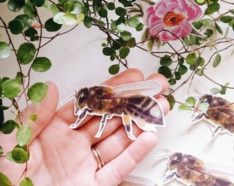 Bee Stickers, Laptop Sticker, Paper Sticker, Die Cut Stickers, Honeybee Sticker, Pollen Pants, Handmade Stickers, Original Bee Stickers