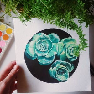 May include: A watercolor painting of three green succulents on a black background. The succulents are painted in a realistic style with detailed leaves and petals.