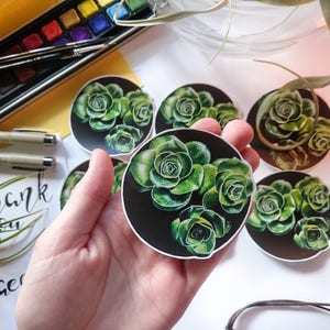 May include: Five round stickers with a black background and a green succulent plant design. The stickers are arranged in a circle with one sticker in the center.