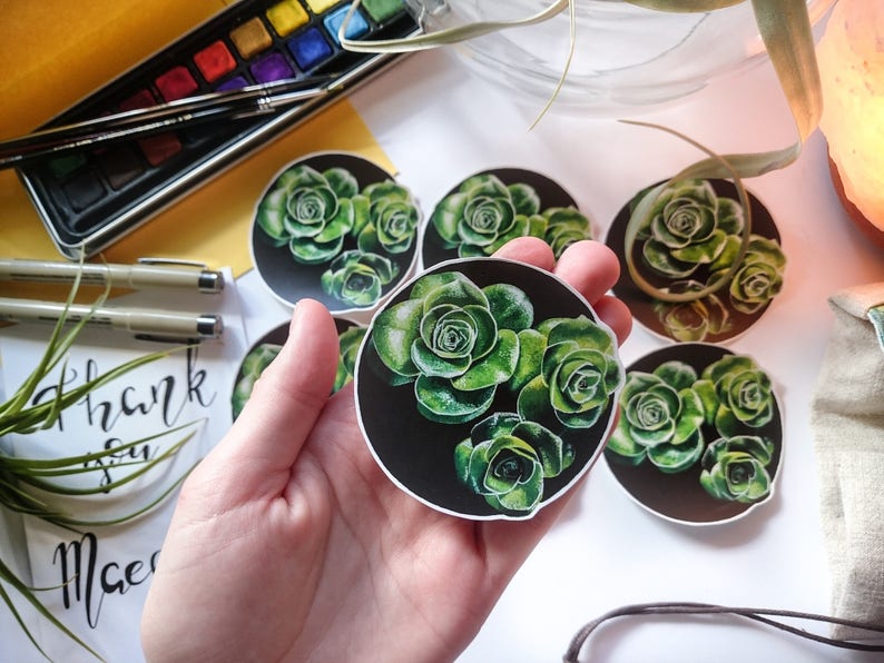 May include: Five round stickers with a black background and a green succulent plant design. The stickers are arranged in a circle with one sticker in the center.
