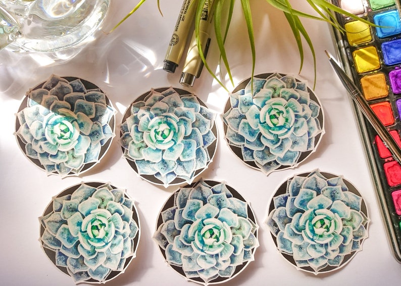 Vinyl Laptop Stickers Die Cut Stickers Plant Stickers Succulent Stickers Planner Scrapbooking Supplies Succulents Waterproof Stickers