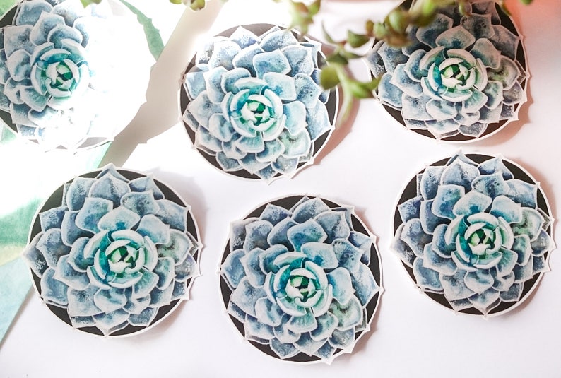 Vinyl Laptop Stickers Die Cut Stickers Plant Stickers Succulent Stickers Planner Scrapbooking Supplies Succulents Waterproof Stickers