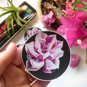 May include: A close-up of a sticker featuring a pink and purple succulent flower with a black background. The sticker is round and has a white border.