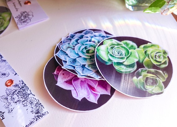 Vinyl Laptop Sticker Set, Succulent Stickers, Plant Stickers, Original artwork Stickers, Vinyl Sticker Set, Original Stickers, Succulent art