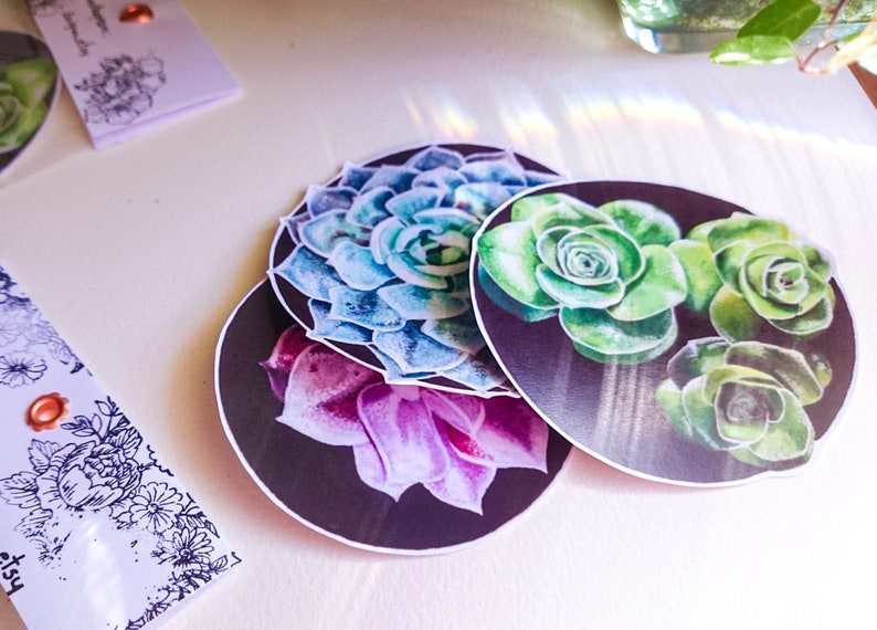 May include: Three round stickers with succulent plants on a black background. The stickers feature different varieties of succulents in shades of green, blue, and purple.
