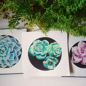 May include: Three framed prints of succulent plants. The prints are on white paper with black backgrounds. The succulents are in shades of green and pink.