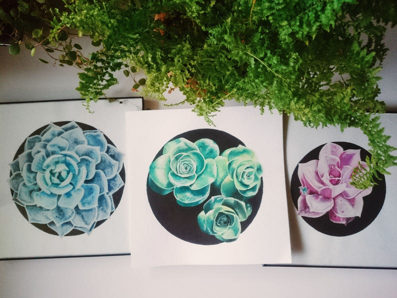 May include: Three framed prints of succulent plants. The prints are on white paper with black backgrounds. The succulents are in shades of green and pink.