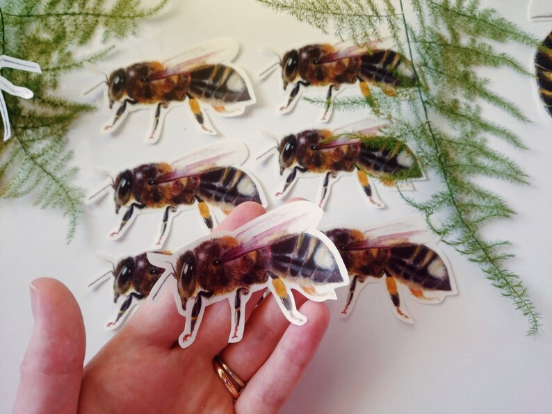 Bee Stickers, Laptop Sticker, Paper Sticker, Die Cut Stickers, Honeybee Sticker, Pollen Pants, Handmade Stickers, Original Bee Stickers image 2