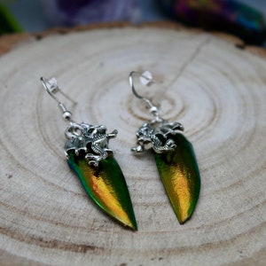 Puede incluir: Un par de pendientes de dragón de plata con detalles de alas de escarabajo iridiscentes en verde y dorado.