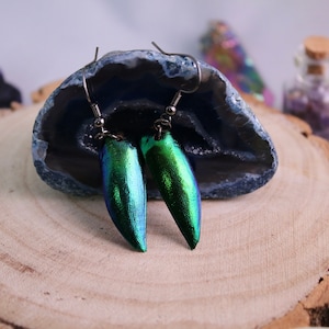 Jewel Wing Earrings