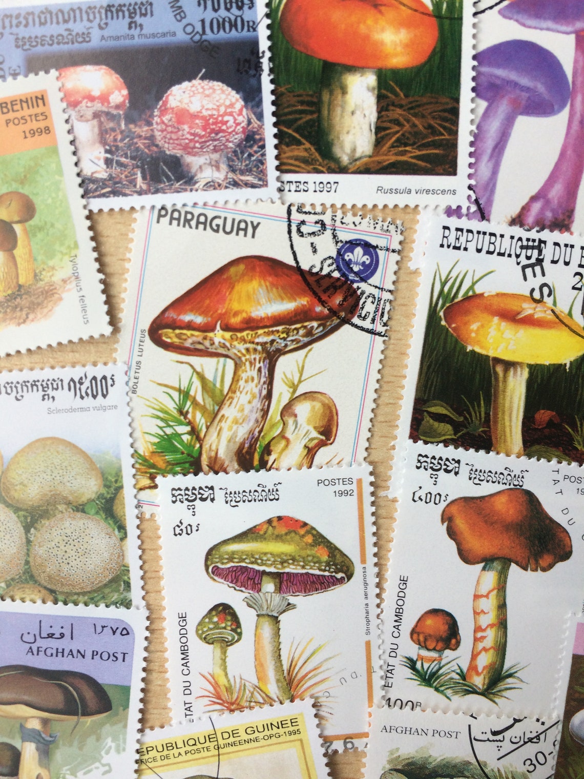 Mushroom Postage Stamps Worldwide Used for Junk Journals - Etsy