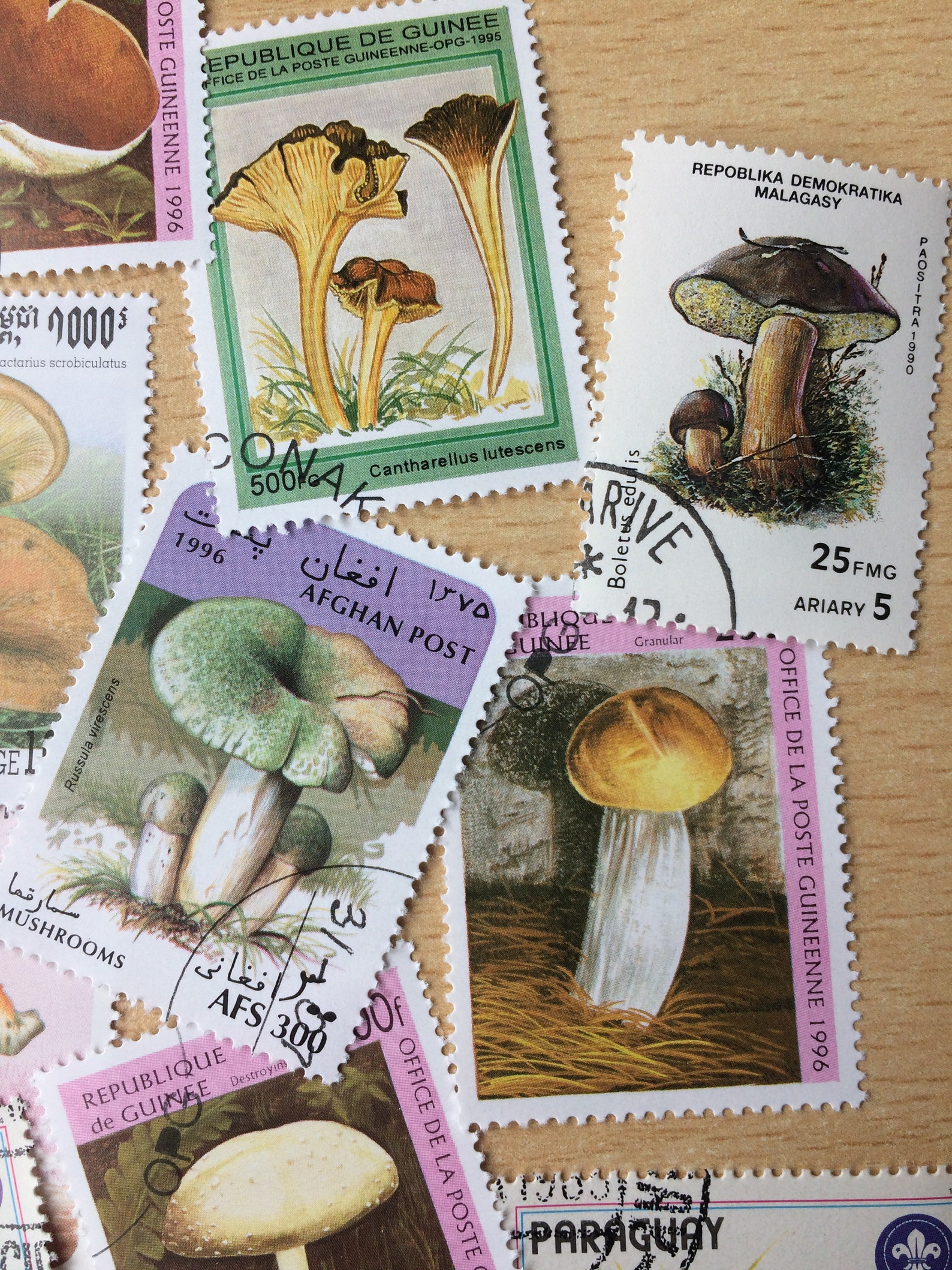 Mushroom Postage Stamps Worldwide Used for Junk Journals - Etsy