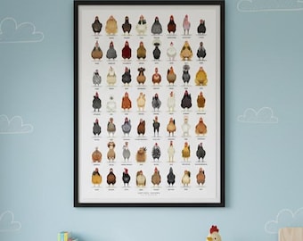 Chicken Breeds Print - Chicken Breeds Poster - Illustrated Poultry Print -  Farmhouse Wall Art, Chicken Lover Gift, Country Kitchen Decor