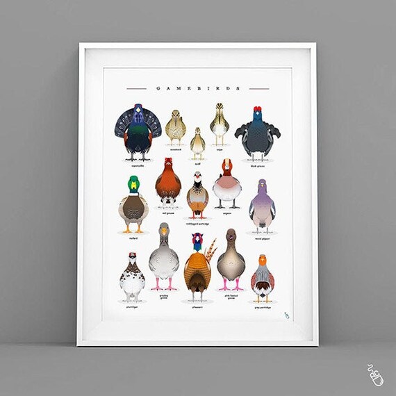 British Gamebirds Game birds print Gamekeeper gift Etsy