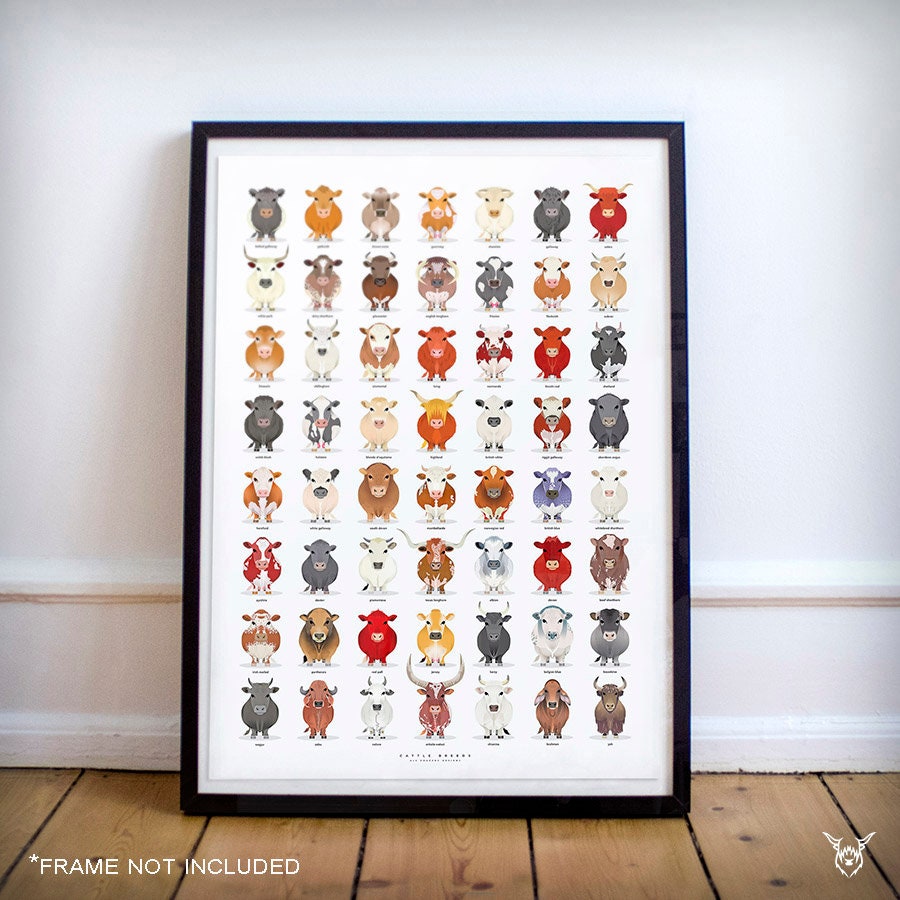 Cattle Breeds Print - Ultimate Cow Poster - Cattle of the World - Cattle Farmer - Farm Art Print - Nursery Art - Cattle Print - Cow poster